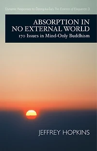 Absorption No External World: 170 Issues Mind-Only Buddhism