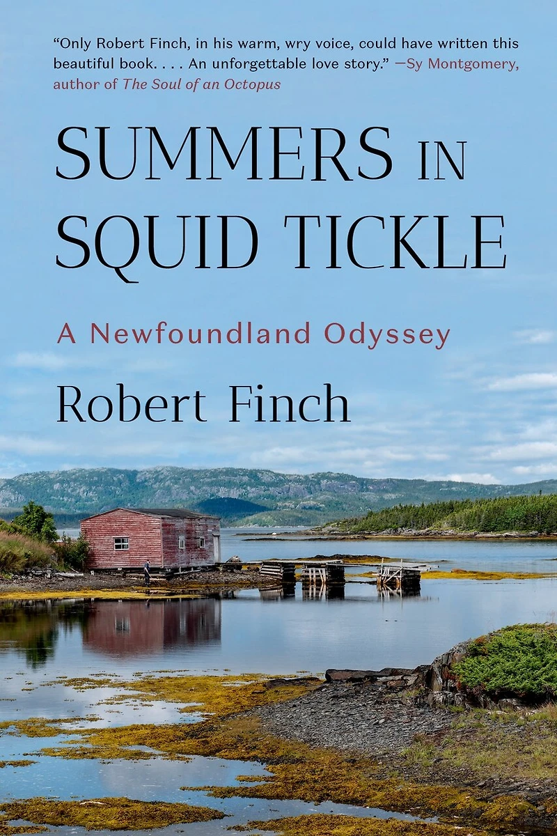 Summers Squid Tickle: A Newfoundland Odyssey