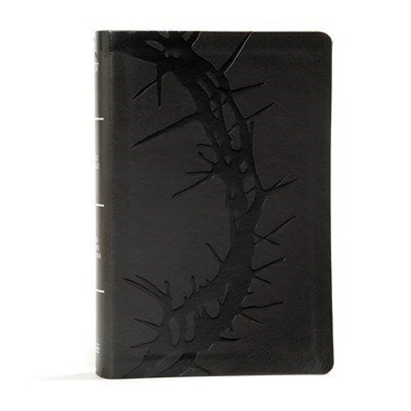 KJV Large Print Personal Reference Bible, Earthen SuedeSoft LeatherTouch