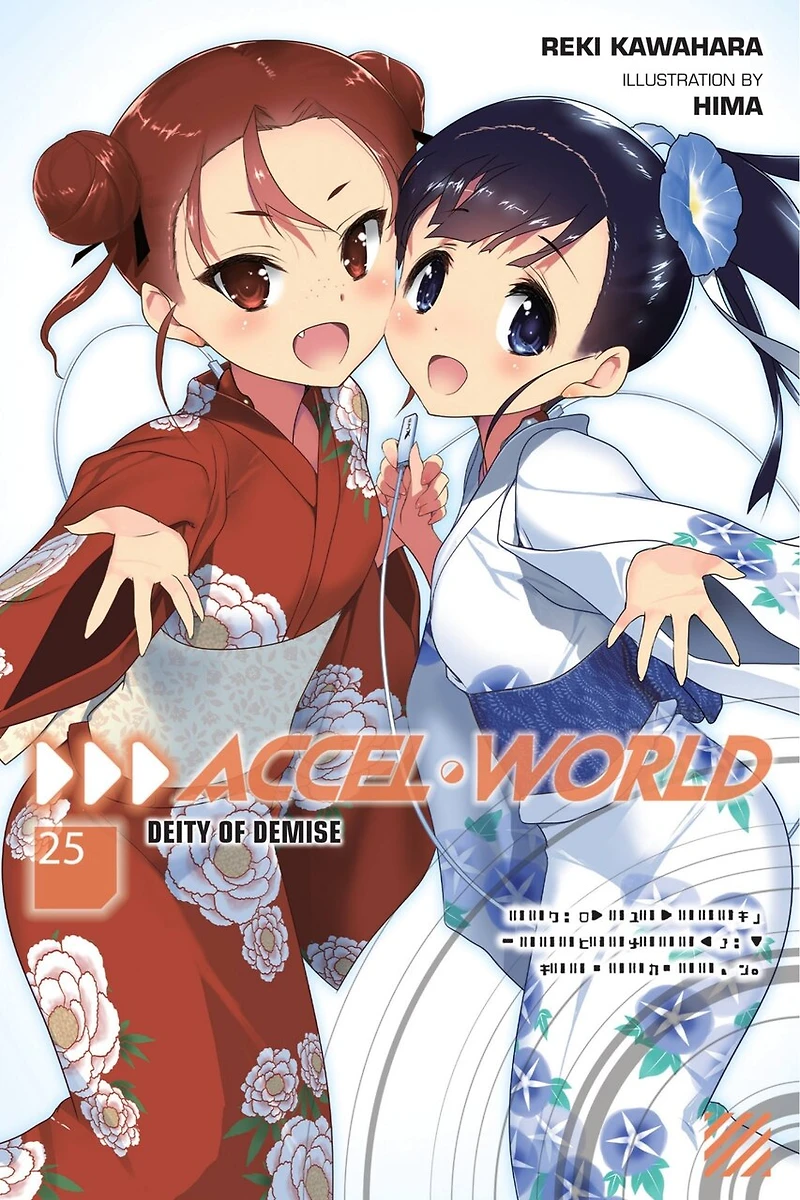 Accel World, Vol. 25 (light Novel): Deity Of Demise