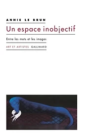Un espace inobjectif: entre les mots et les images