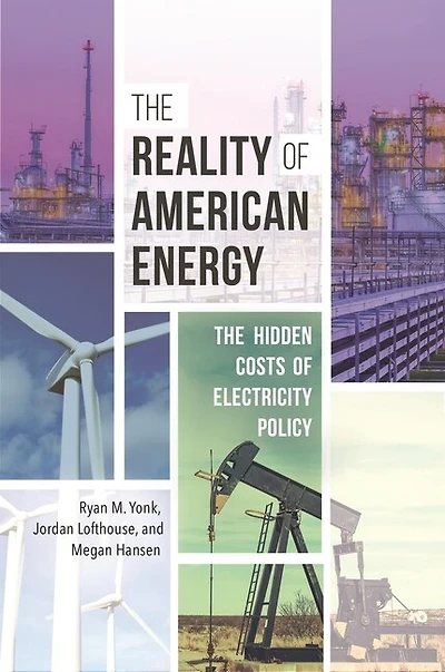 The Reality of American Energy: Hidden Costs Electricity Policy