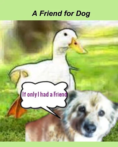 A Friend For Dog