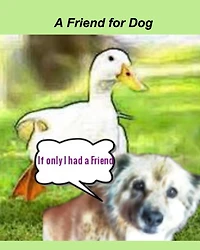 A Friend For Dog