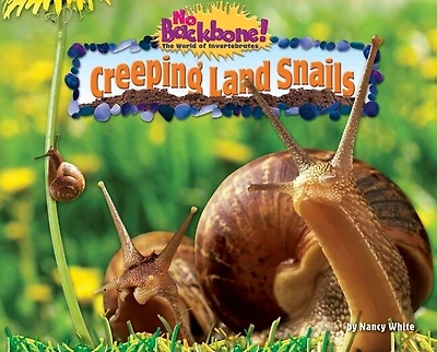 Creeping Land Snails