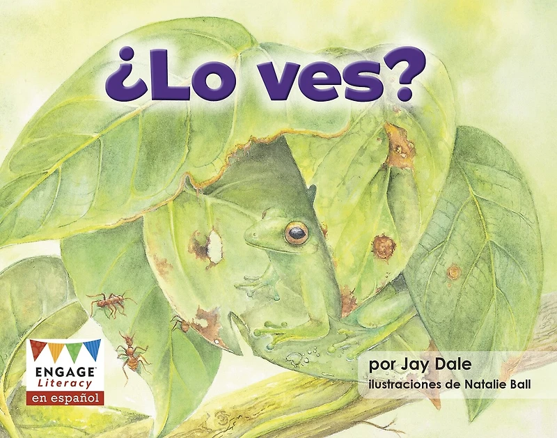¿Lo ves? (Can You See It?)