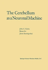 The Cerebellum as a Neuronal Machine