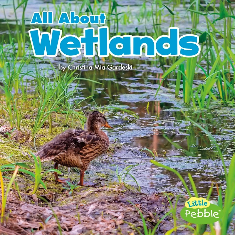 All About Wetlands