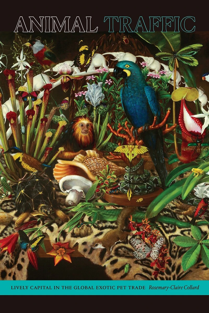 Animal Traffic: Lively Capital the Global Exotic Pet Trade