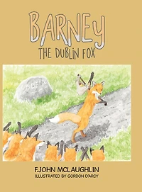 Barney The Dublin Fox