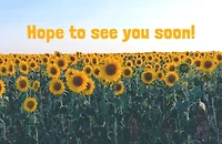 Visitor Postcard: Hope to See You (Package of 25): Romans 5:1 (KJV)