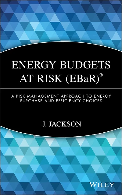 Energy Budgets at Risk (EBaR): A Risk Management Approach to Energy Purchase and Efficiency Choices