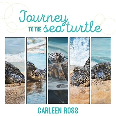 Journey to the Sea Turtle