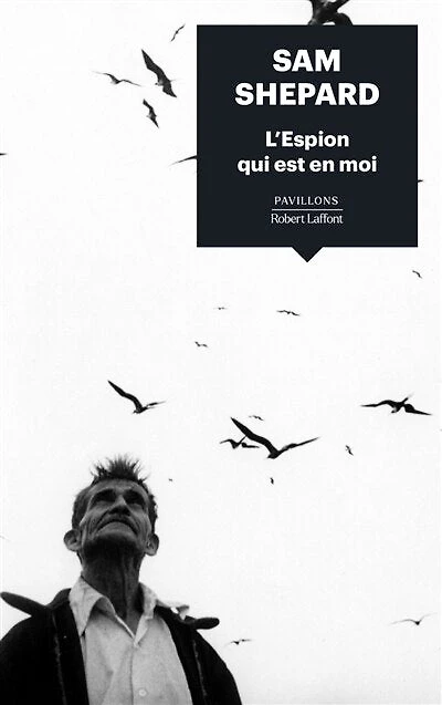 L' espion qui est en moi