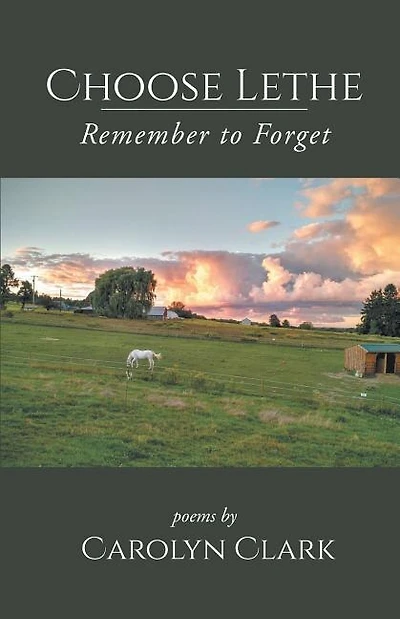 Choose Lethe: Remember to Forget