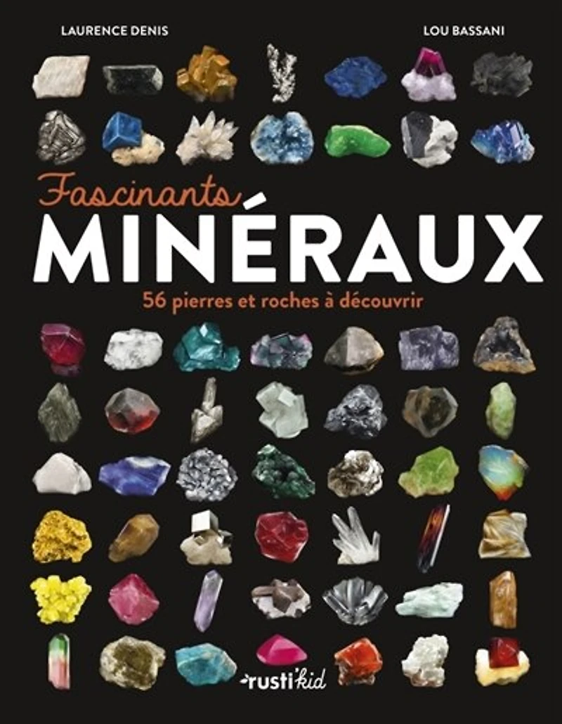 Fascinants minéraux: 56 pierres et roches à découvrir