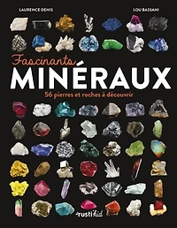 Fascinants minéraux: 56 pierres et roches à découvrir