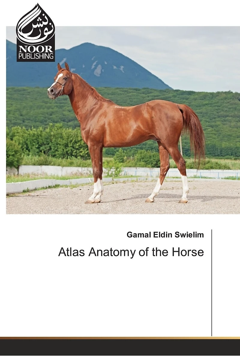 Atlas Anatomy of the Horse