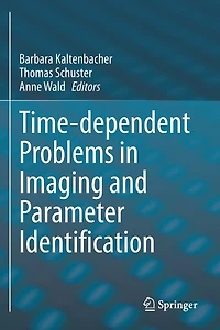 Time-dependent Problems in Imaging and Parameter Identification