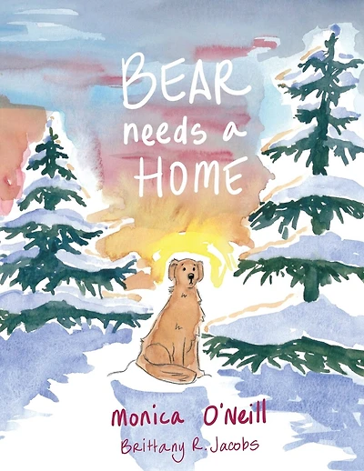 Bear Needs A Home
