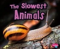 The Slowest Animals