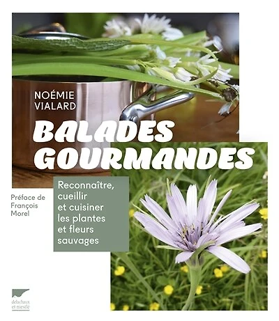 Balades gourmandes: Reconnaître, cueillir et cuisiner les plantes et les fleurs sauvages