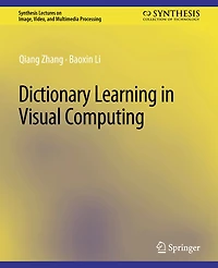 Dictionary Learning in Visual Computing