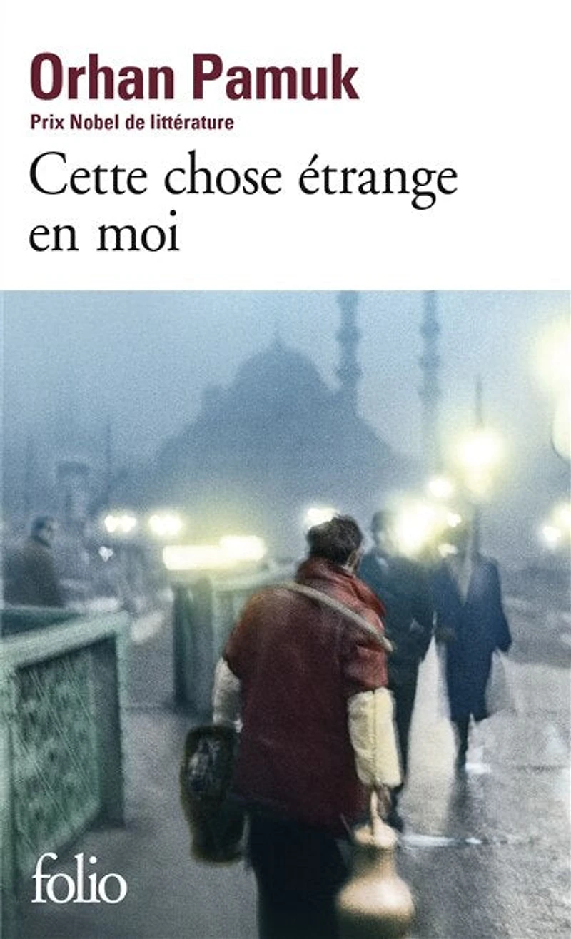 Cette chose étrange en moi: la vie, les aventures, rêves du marchand de boza Mevlut Karatas et l'histoire ses amis, tableau vie à Istanbul entre 1969 2012, vue par yeux nombreux personnages