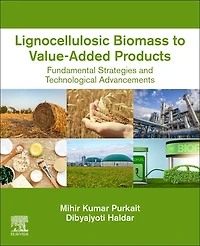 Lignocellulosic Biomass to Value-Added Products: Fundamental Strategies and Technological Advancements