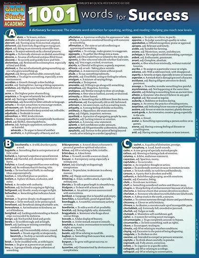 1001 Words For Success: 1001 Words For Success