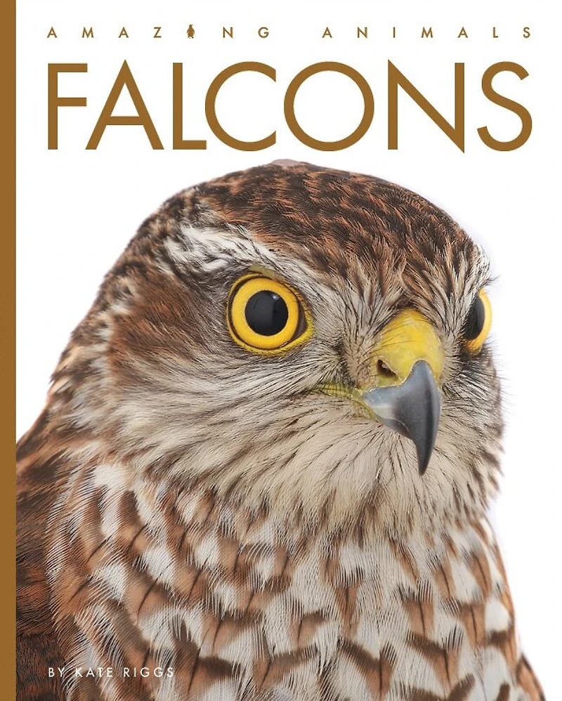 Falcons: Amazing Animals: Falcons