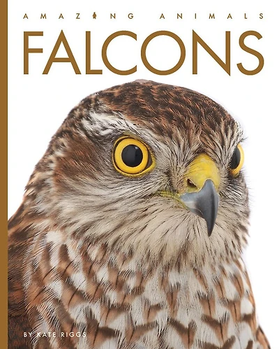 Falcons: Amazing Animals: Falcons