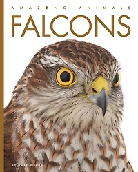 Falcons: Amazing Animals: Falcons
