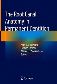 The Root Canal Anatomy Permanent Dentition