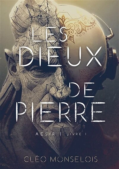 Les Dieux de Pierre: Aesir - Livre 1