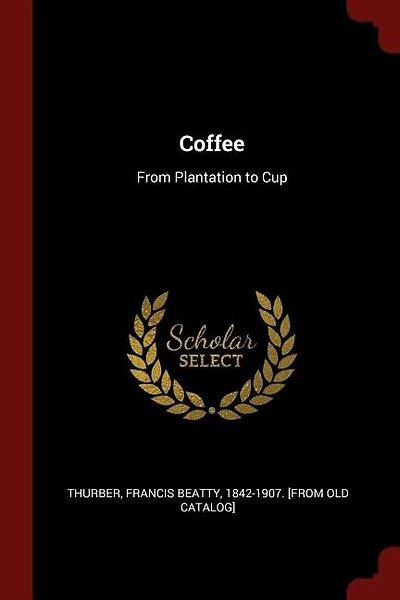Coffee: From Plantation to Cup