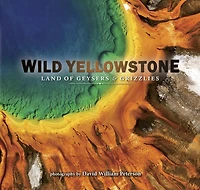 Wild Yellowstone: Land of Geysers and Grizzlies