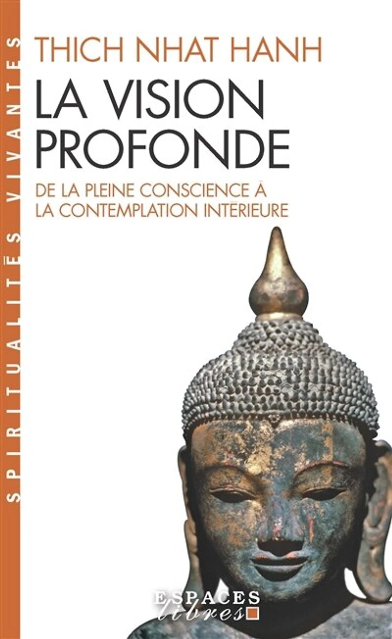 la vision profonde: de pleine conscience à contemplation intérieure