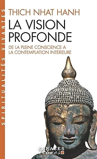 la vision profonde: de pleine conscience à contemplation intérieure