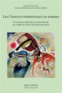 Les conflits horizontaux de normes: le traitement légistique et jurisprudentiel des conflits de normes de niveau équivalent