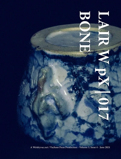 LAIR W pX 017 Bone