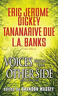 Voices From The Other Side