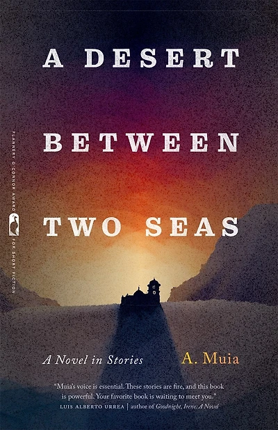 A Desert between Two Seas: A Novel in Stories