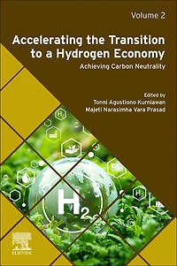 Accelerating the Transition to a Hydrogen Economy: Achieving Carbon Neutrality Volume 2