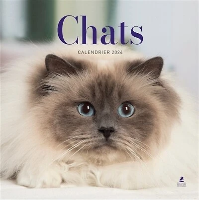 Calendrier Chats 2024