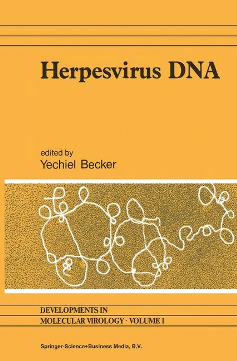 Herpesvirus DNA: Recent studies on the organization of viral genomes, mRNA transcription, DNA replication, defective DNA, and sequences transformed cells bacterial plasmids