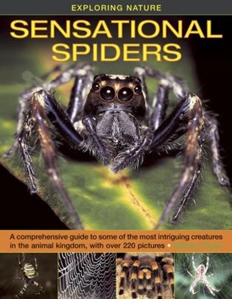Exploring Nature: Sensational Spiders: A comprehensive guide to some of the most intriguing creatures animal kingdom, with over 220 pictures