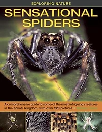 Exploring Nature: Sensational Spiders: A comprehensive guide to some of the most intriguing creatures animal kingdom, with over 220 pictures