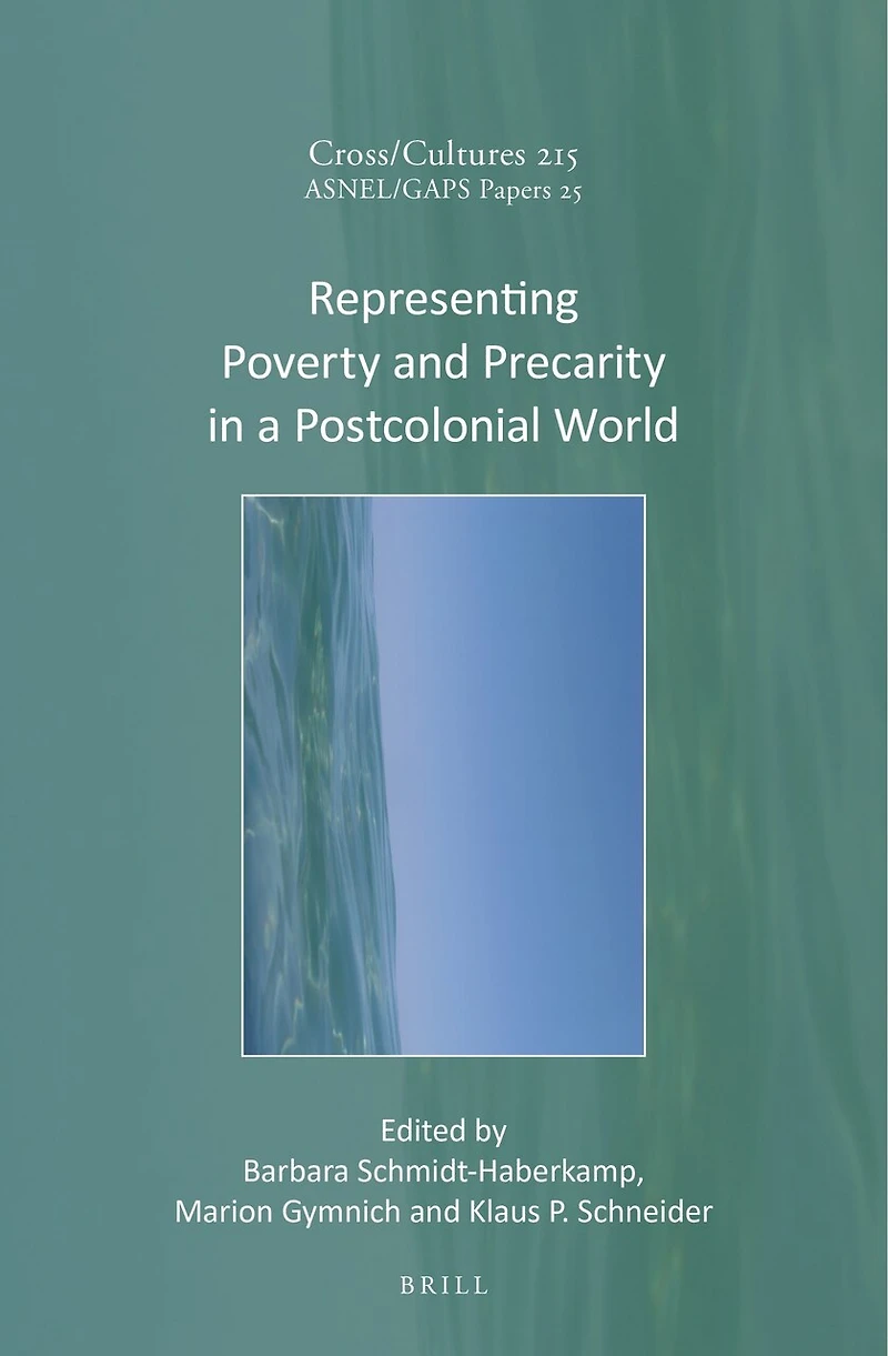 Representing Poverty and Precarity in a Postcolonial World