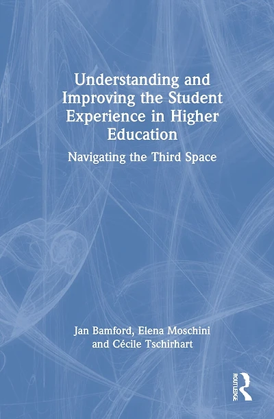 Understanding And Improving The Student Experience Higher Education: Navigating Third Space